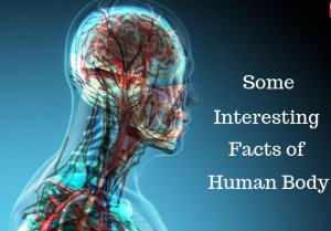 Facts About The Human Body